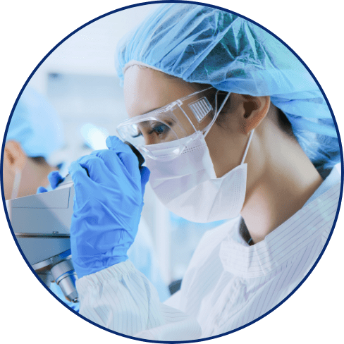 検体分析/報告書作成