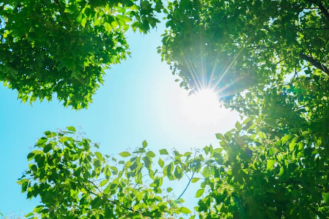 水分補給だけでは防げない熱中症