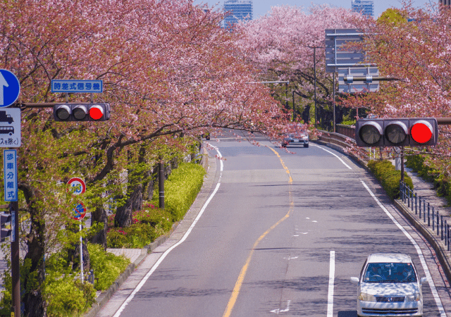 建設業界における道路法の重要性