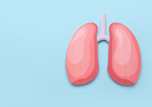 アスベストによる健康被害のメカニズム