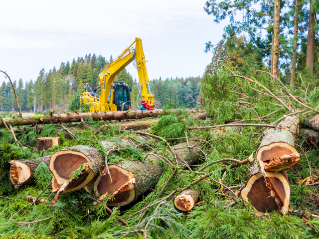 伐木等機械の運転の業務に係る特別教育とは