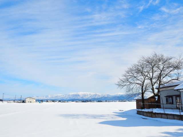 雪国ならではの除雪需要